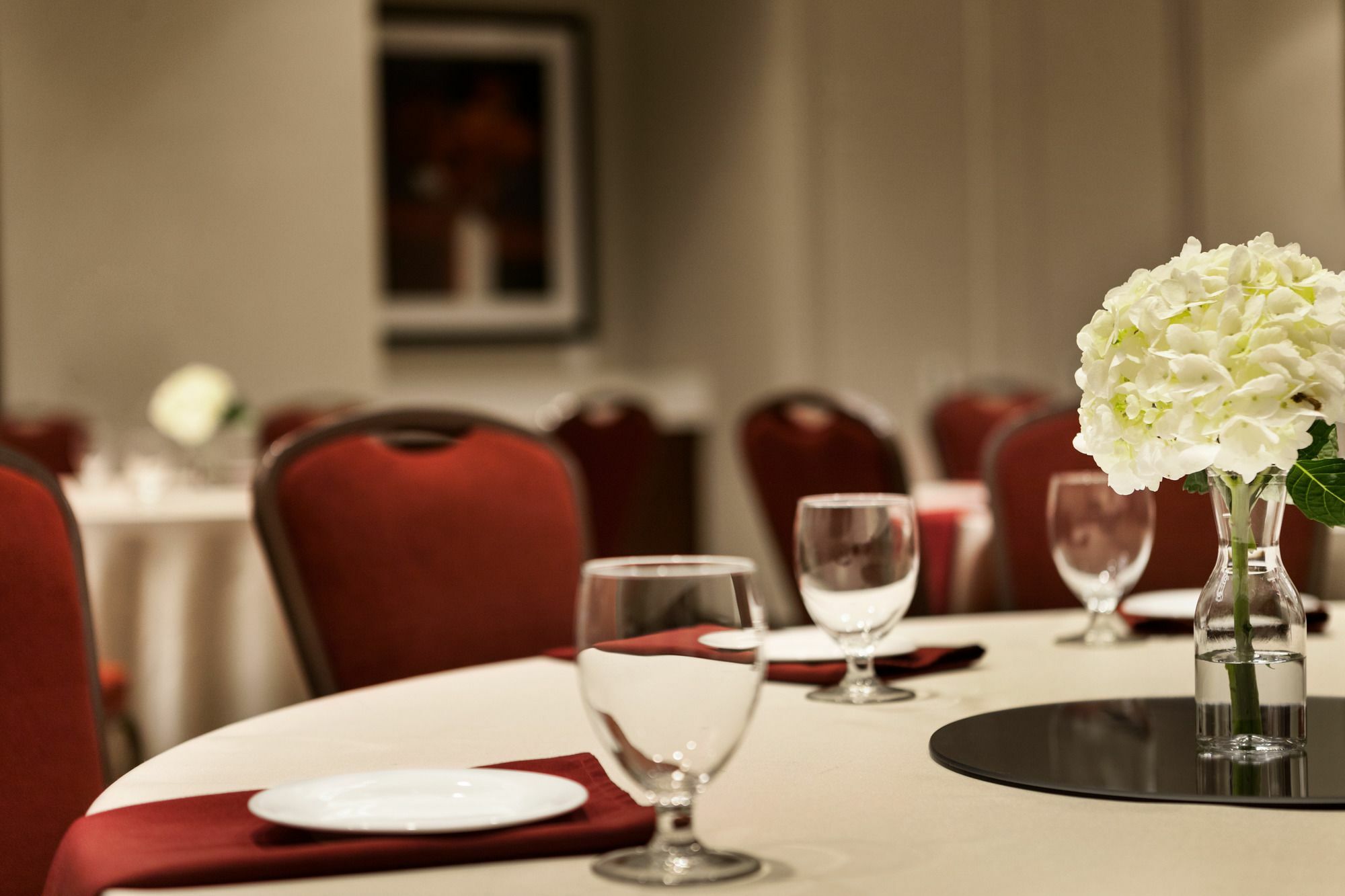 Hilton Garden Inn Charlotte Southpark Экстерьер фото
